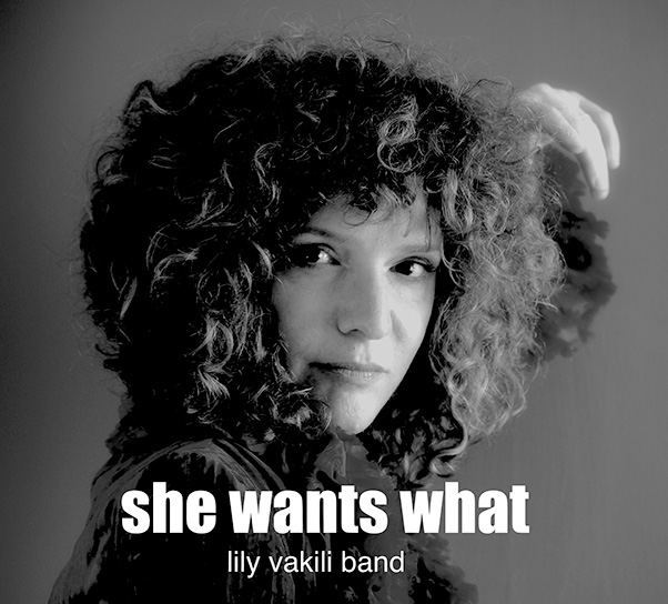 she wants what - Vakili Band